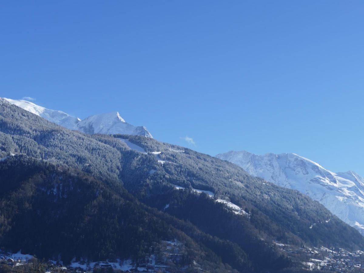 Chalet Coup De Coeur Passy  Εξωτερικό φωτογραφία